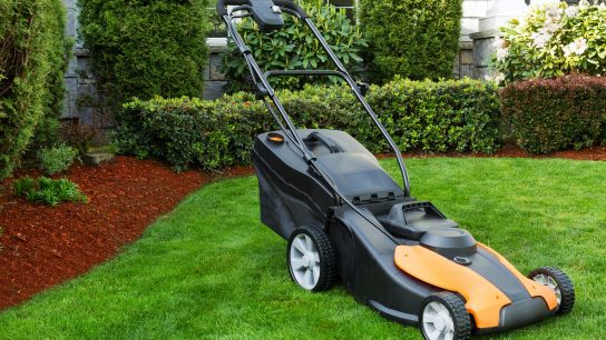 best cordless electric lawn mower